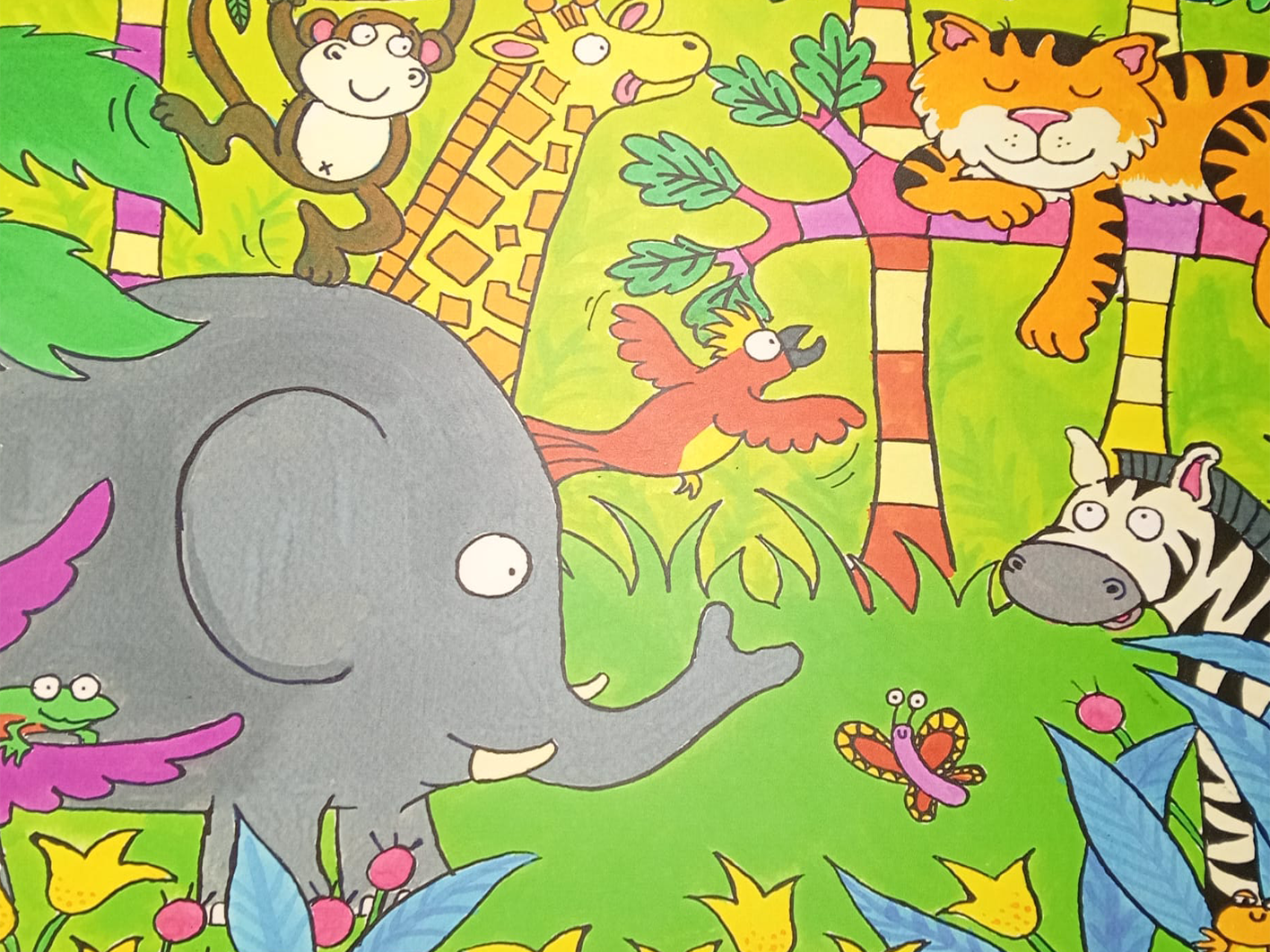 Colourful wall graphics and interior branding design